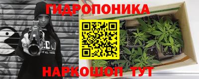 spice Кинель