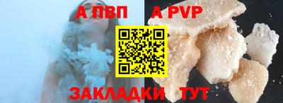 стаф Кингисепп