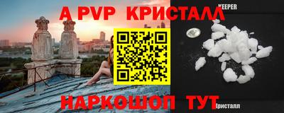 стаф Кингисепп