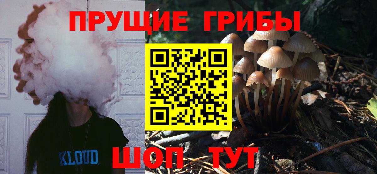 наркотики  Галлюциногенные грибы MAGIC MUSHROOMS  Вход с VPN  Галлюциногенные грибы прущие грибы  Курчатов 